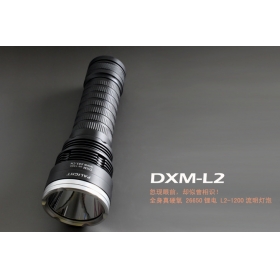 PALIGHT DXM CREE 6 Modes Super Bright Waterproof LED Flashlight Torch Lamp