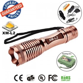 UltraFire E007 CREE XM-L2 2200Lumens Zoomable LED Flashlights Torches lamplights with rechargeable Battery/charger/holster